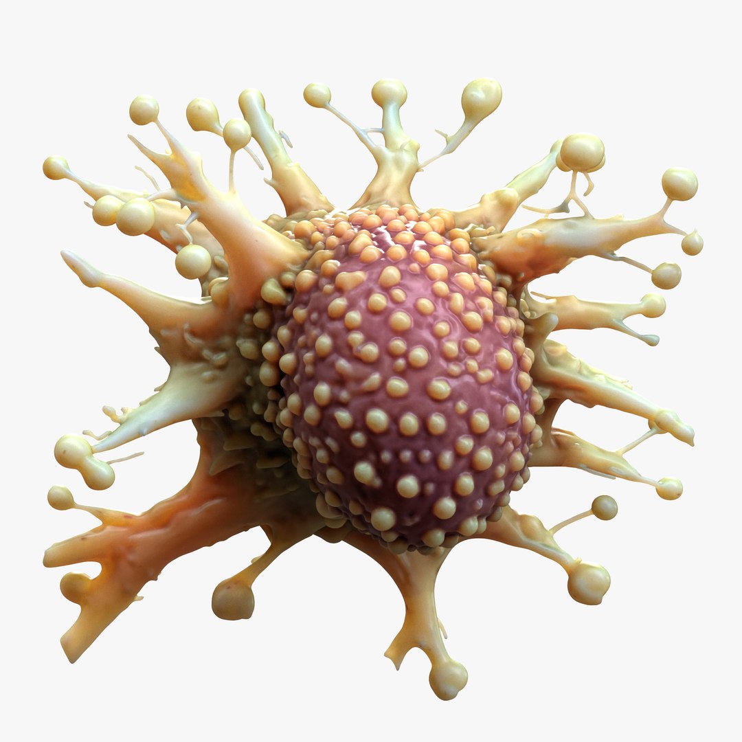 Cancer Cell Tumor Model - TurboSquid 2403799