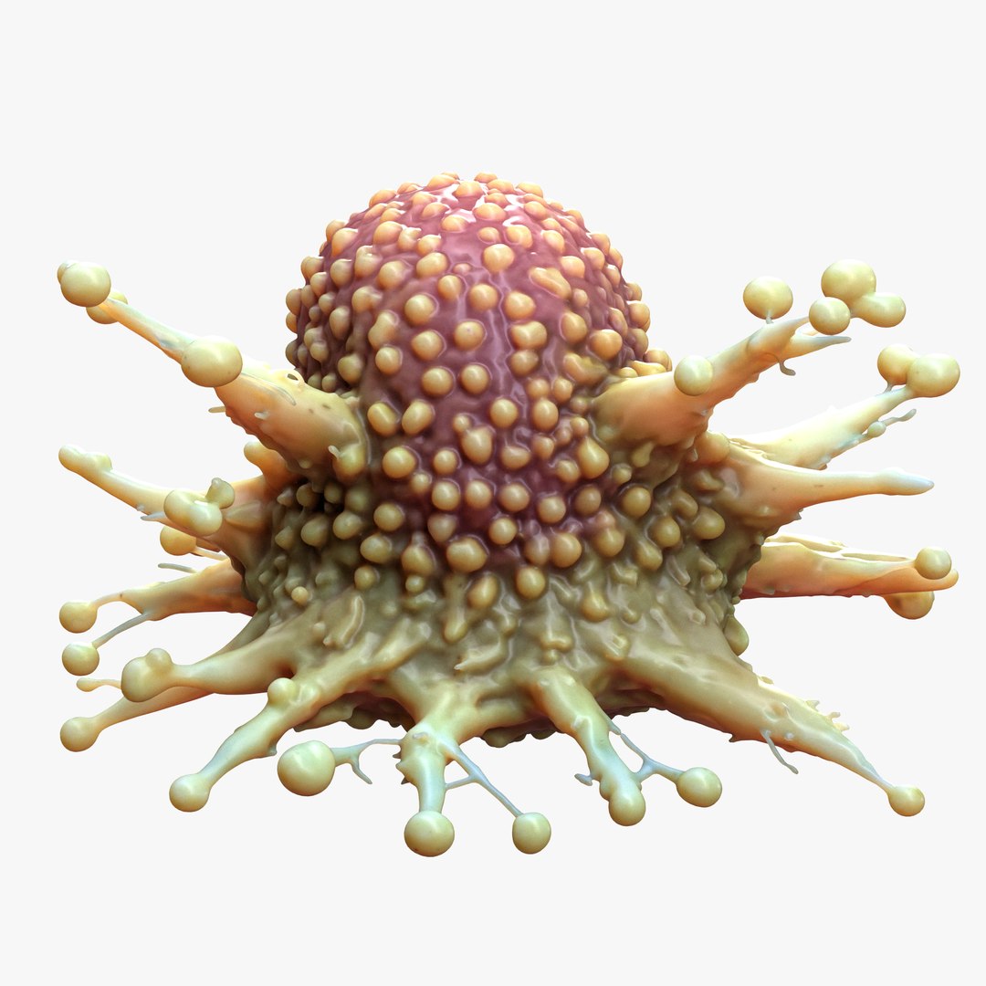 Cancer Cell Tumor Model - TurboSquid 2403799