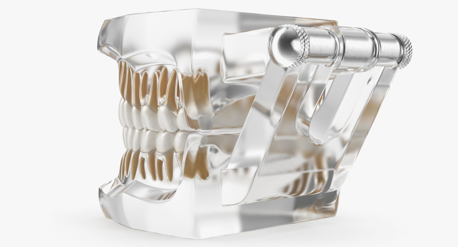 transparent dental typodont teeth 3D https://p.turbosquid.com/ts-thumb/n6/VNPJJN/7TF0bQnn/transparentdentaltypodontteethmodelc4dmodel012/jpg/1527004073/1920x1080/fit_q87/cc9053d5639bc8fa6853999dad73b970edacb55d/transparentdentaltypodontteethmodelc4dmodel012.jpg