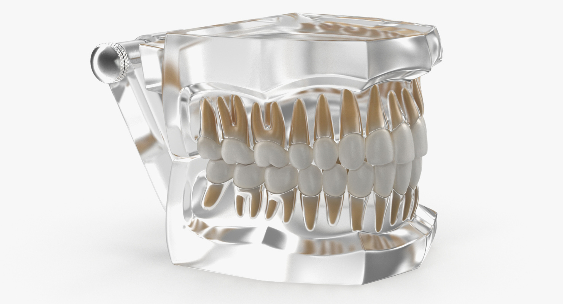 transparent dental typodont teeth 3D https://p.turbosquid.com/ts-thumb/n6/VNPJJN/H82jhp26/transparent_dental_typodont_teeth_model_360/jpg/1527003426/1920x1080/turn_fit_q99/1a5323d0b0b4a222adaf2d8b2c258dbf911d80ae/transparent_dental_typodont_teeth_model_360-1.jpg