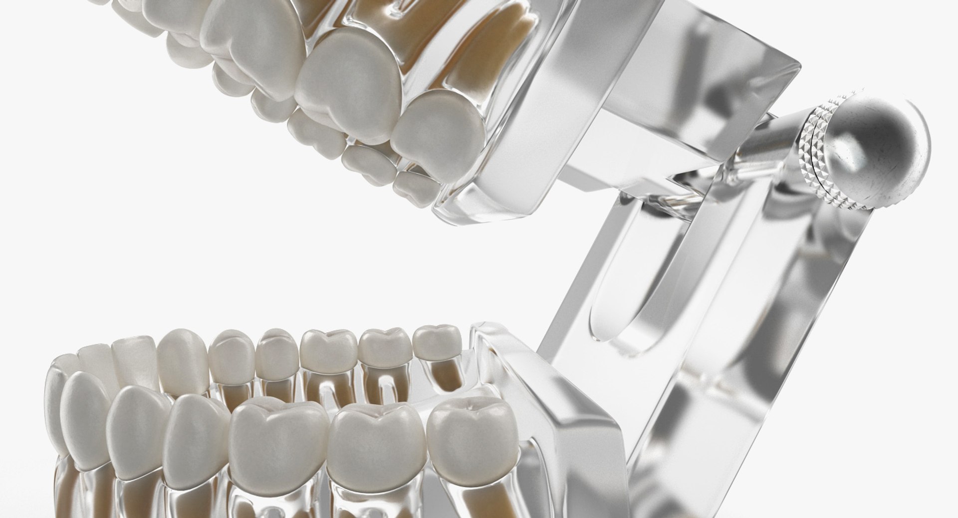 transparent dental typodont teeth 3D https://p.turbosquid.com/ts-thumb/n6/VNPJJN/R7s1MmEx/transparentdentaltypodontteethmodelc4dmodel007/jpg/1527004057/1920x1080/fit_q87/e21641f31dc894024b833ab4d281df0dc1c3a867/transparentdentaltypodontteethmodelc4dmodel007.jpg