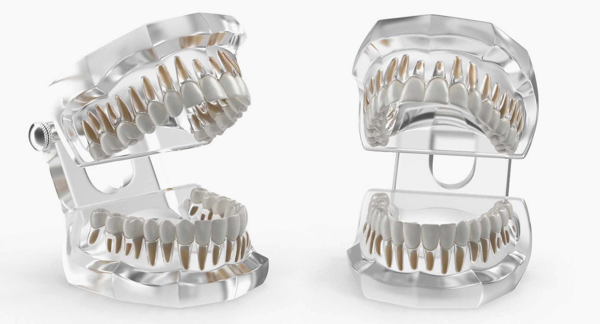transparent dental typodont teeth 3D https://p.turbosquid.com/ts-thumb/n6/VNPJJN/Vjl23yxC/transparentdentaltypodontteethmodelc4dmodel004/jpg/1527004049/1920x1080/fit_q87/f6f62b3325fbe429df09f39b01ce4e5dd9fdeeb9/transparentdentaltypodontteethmodelc4dmodel004.jpg
