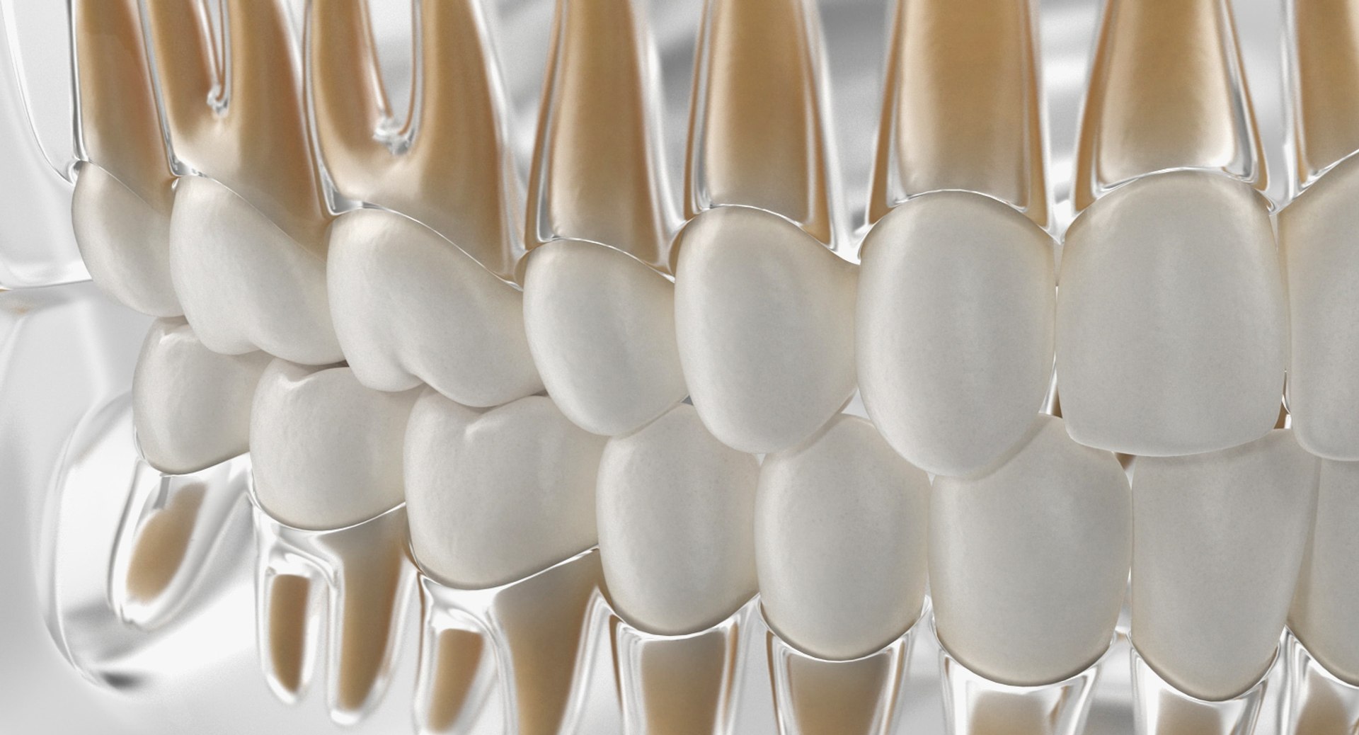 transparent dental typodont teeth 3D https://p.turbosquid.com/ts-thumb/n6/VNPJJN/bRhwNq7e/transparentdentaltypodontteethmodelc4dmodel016/jpg/1527004086/1920x1080/fit_q87/ae924c22dc56b29df1e9256479d91750a695dadc/transparentdentaltypodontteethmodelc4dmodel016.jpg