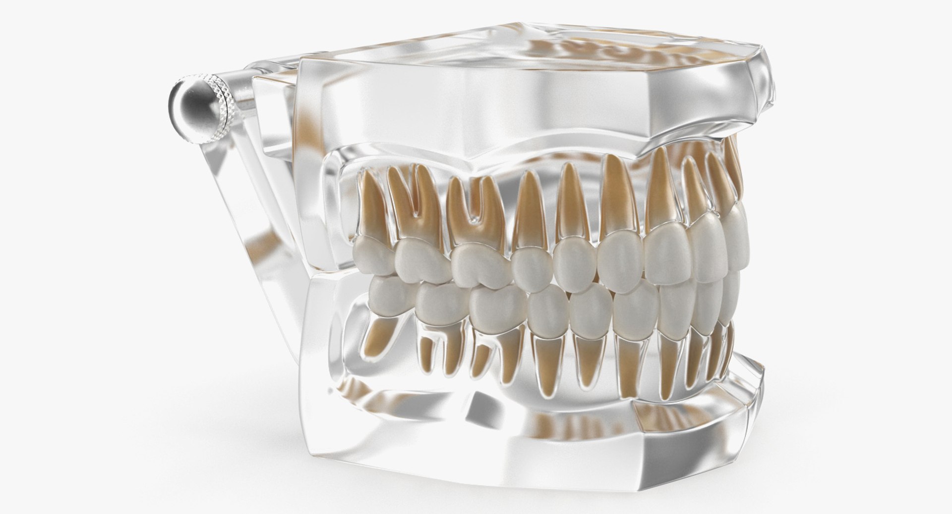 transparent dental typodont teeth 3D https://p.turbosquid.com/ts-thumb/n6/VNPJJN/dCX8Erye/transparentdentaltypodontteethmodelc4dmodel009/jpg/1527004063/1920x1080/fit_q87/b49804f6fe021ddad1cdfd38863c9ac01491047b/transparentdentaltypodontteethmodelc4dmodel009.jpg