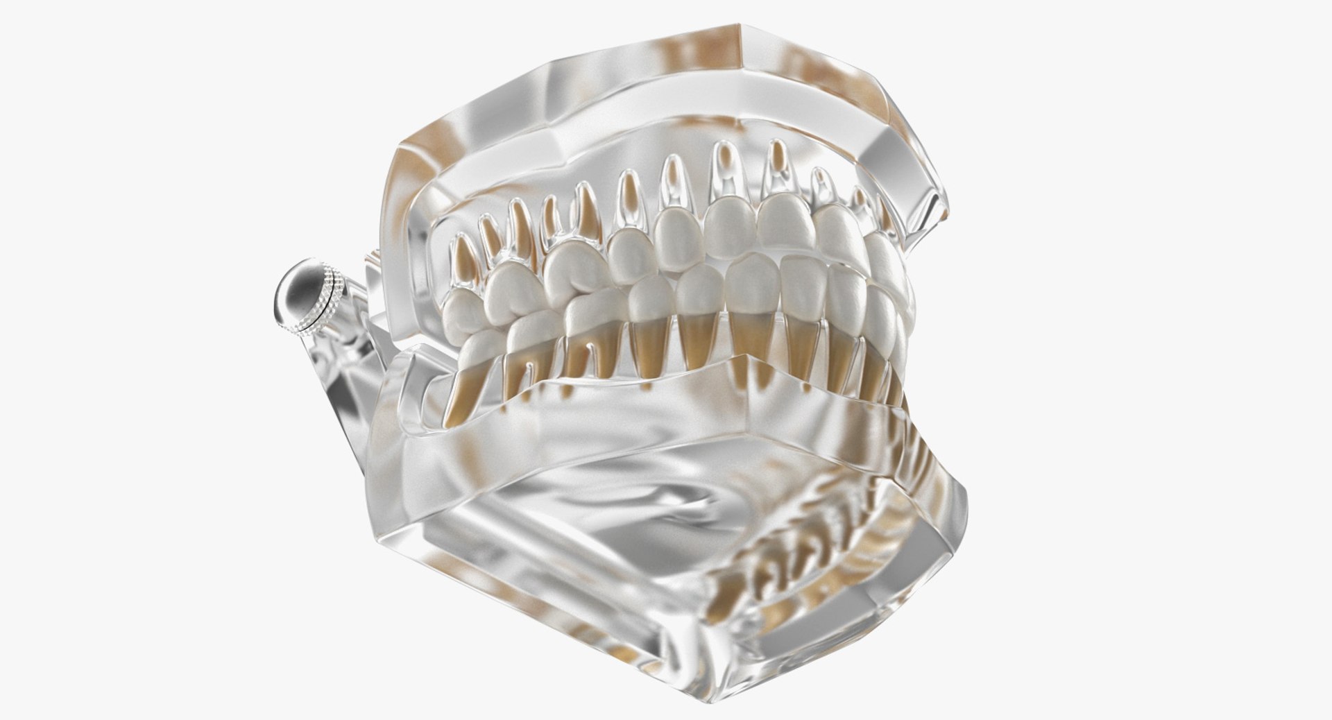 transparent dental typodont teeth 3D https://p.turbosquid.com/ts-thumb/n6/VNPJJN/ePu6vt2P/transparentdentaltypodontteethmodelc4dmodel010/jpg/1527004066/1920x1080/fit_q87/a44ebc0c1fd1634c57884831bc216a20d85d971e/transparentdentaltypodontteethmodelc4dmodel010.jpg