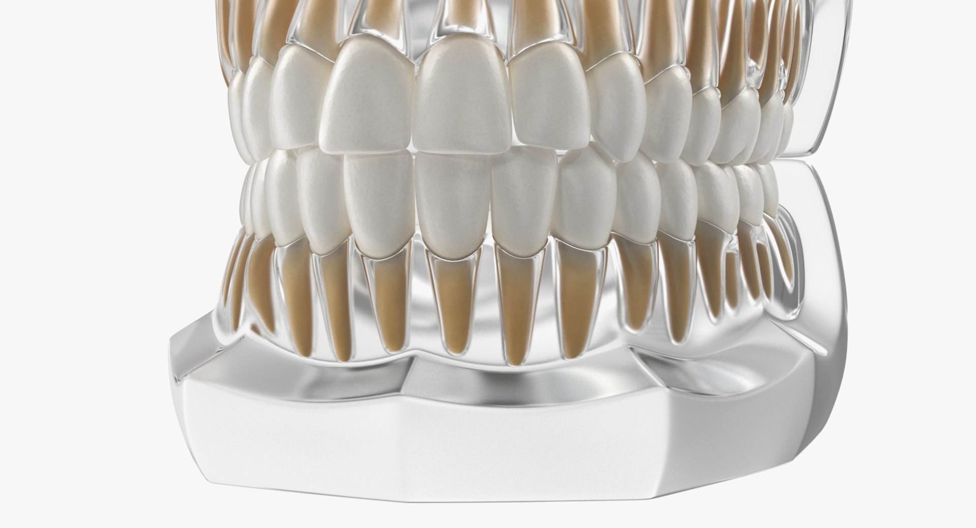transparent dental typodont teeth 3D https://p.turbosquid.com/ts-thumb/n6/VNPJJN/hwfM1sWg/transparentdentaltypodontteethmodelc4dmodel015/jpg/1527004083/1920x1080/fit_q87/9a3b072676c1af729fa1fa8ecc17f8ad5743a6d8/transparentdentaltypodontteethmodelc4dmodel015.jpg