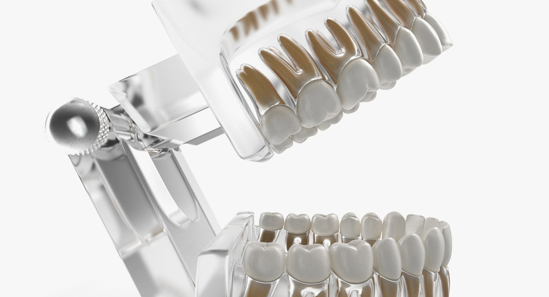 transparent dental typodont teeth 3D https://p.turbosquid.com/ts-thumb/n6/VNPJJN/ohu92q5f/transparentdentaltypodontteethmodelc4dmodel006/jpg/1527004055/1920x1080/fit_q87/f9e8ba06f285b34f9b2f431972b8e0bdf67645b1/transparentdentaltypodontteethmodelc4dmodel006.jpg