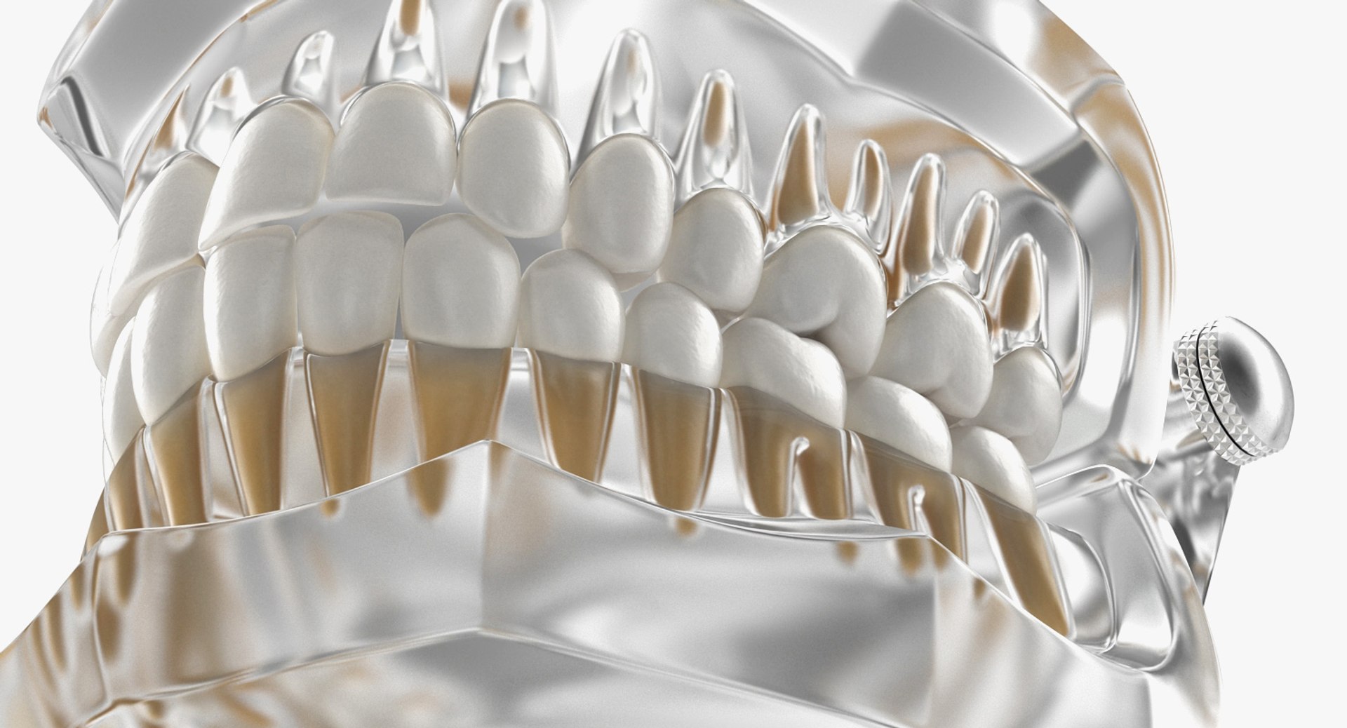 transparent dental typodont teeth 3D https://p.turbosquid.com/ts-thumb/n6/VNPJJN/soabYMia/transparentdentaltypodontteethmodelc4dmodel011/jpg/1527004070/1920x1080/fit_q87/1a37f0dcf225838750488084b4e1a8f643e4dfa7/transparentdentaltypodontteethmodelc4dmodel011.jpg