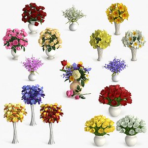 3D model Bouquet Flowers Collection