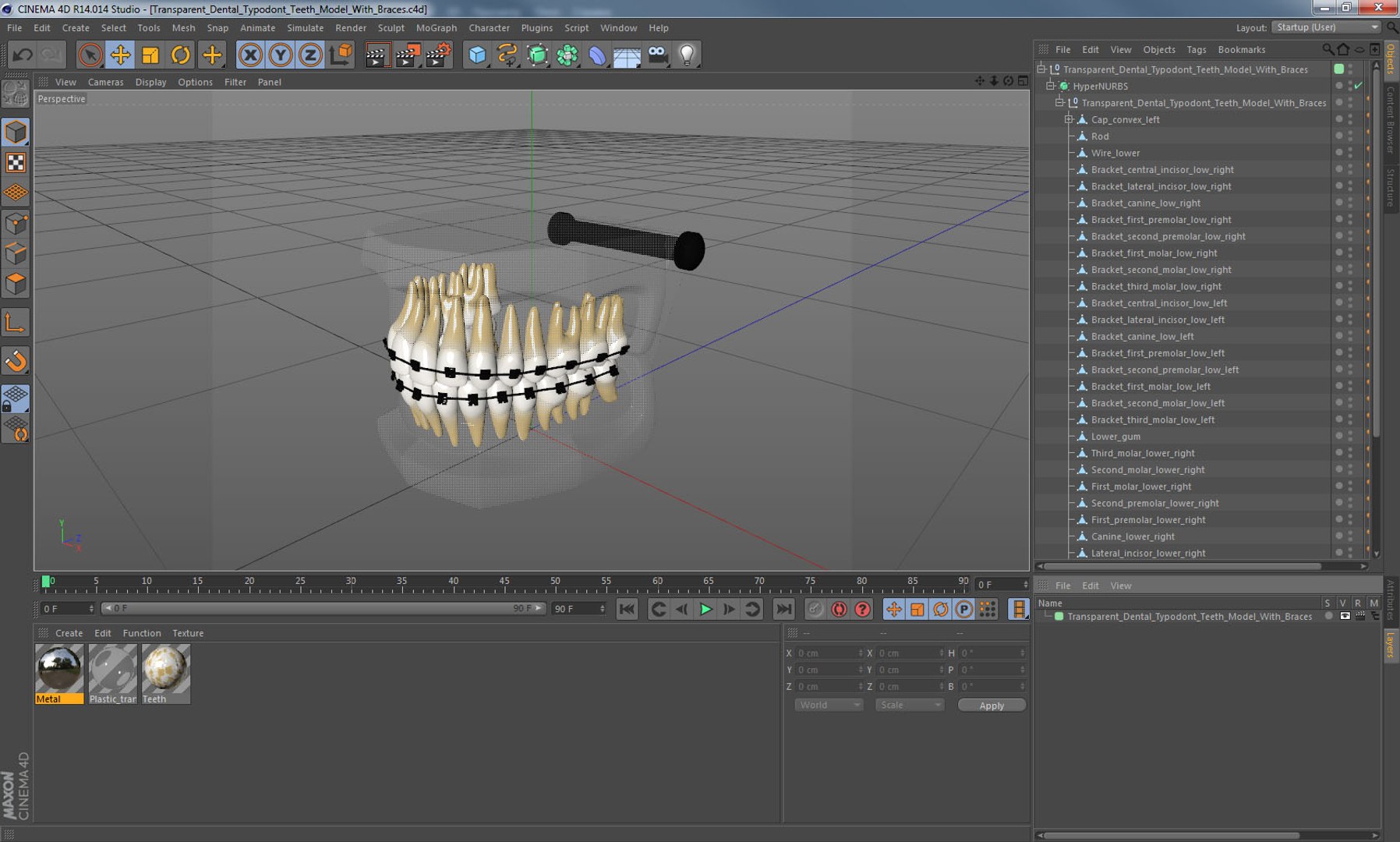 Transparent dental typodont teeth 3D model - TurboSquid 1289769