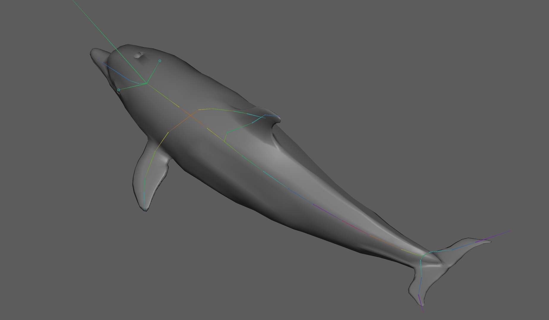 Dolphin Rigged Model - TurboSquid 2305945