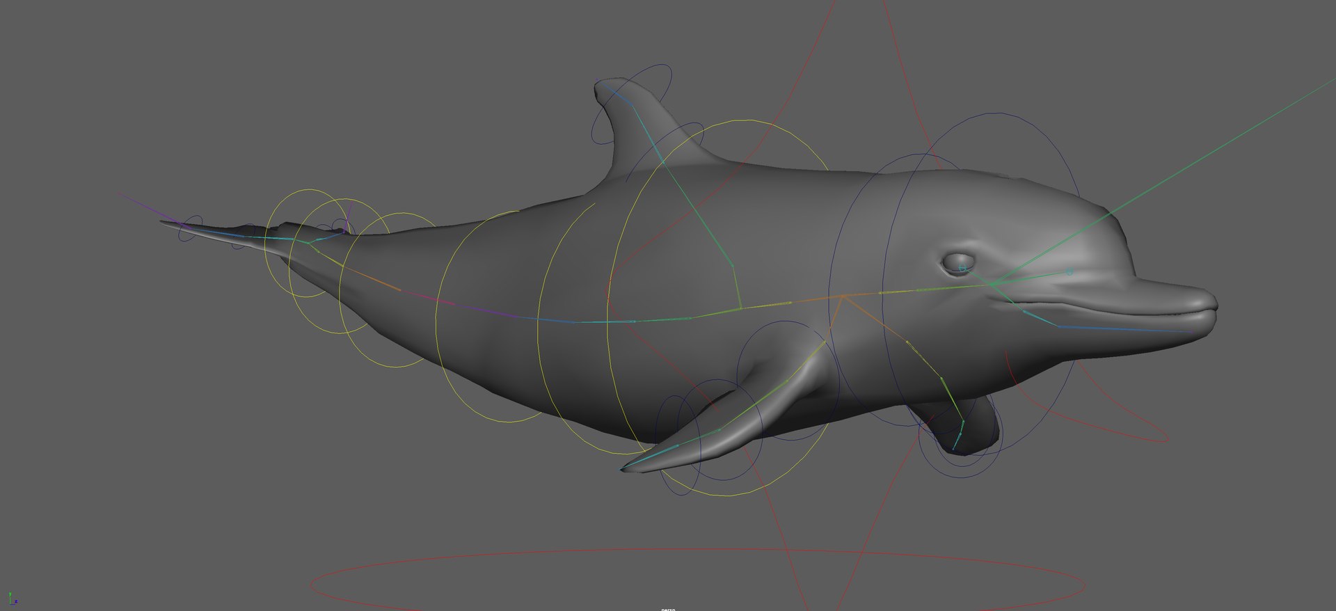 Dolphin Rigged Model - TurboSquid 2305945