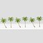 coconut tree model