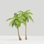 coconut tree model