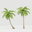 coconut tree model