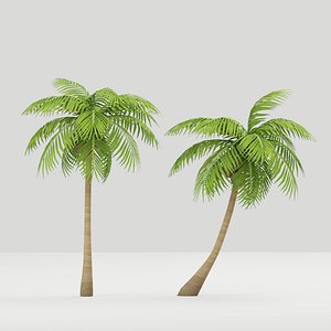 coconut tree model