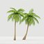 coconut tree model
