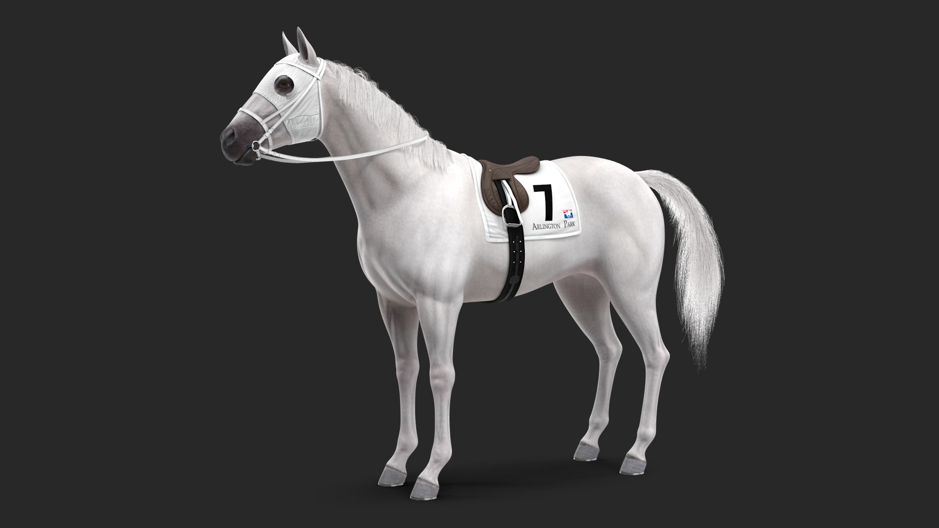 White Racehorse Fur Rigged 3D model preview