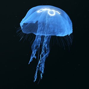 3d blue jellyfish model