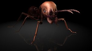 3D carnivorous ants insects