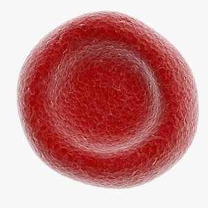 Red Blood Cell