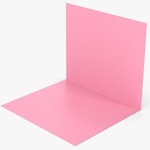 3D Pink Panel Studio Panel model