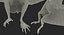 Pterosaur Pteranodon White Landing Pose