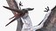 Pterosaur Pteranodon White Landing Pose