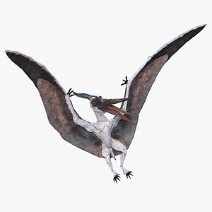 pterosaur pteranodon white landing 3D model