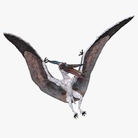 Pterosaur Pteranodon White Landing Pose 3D Model