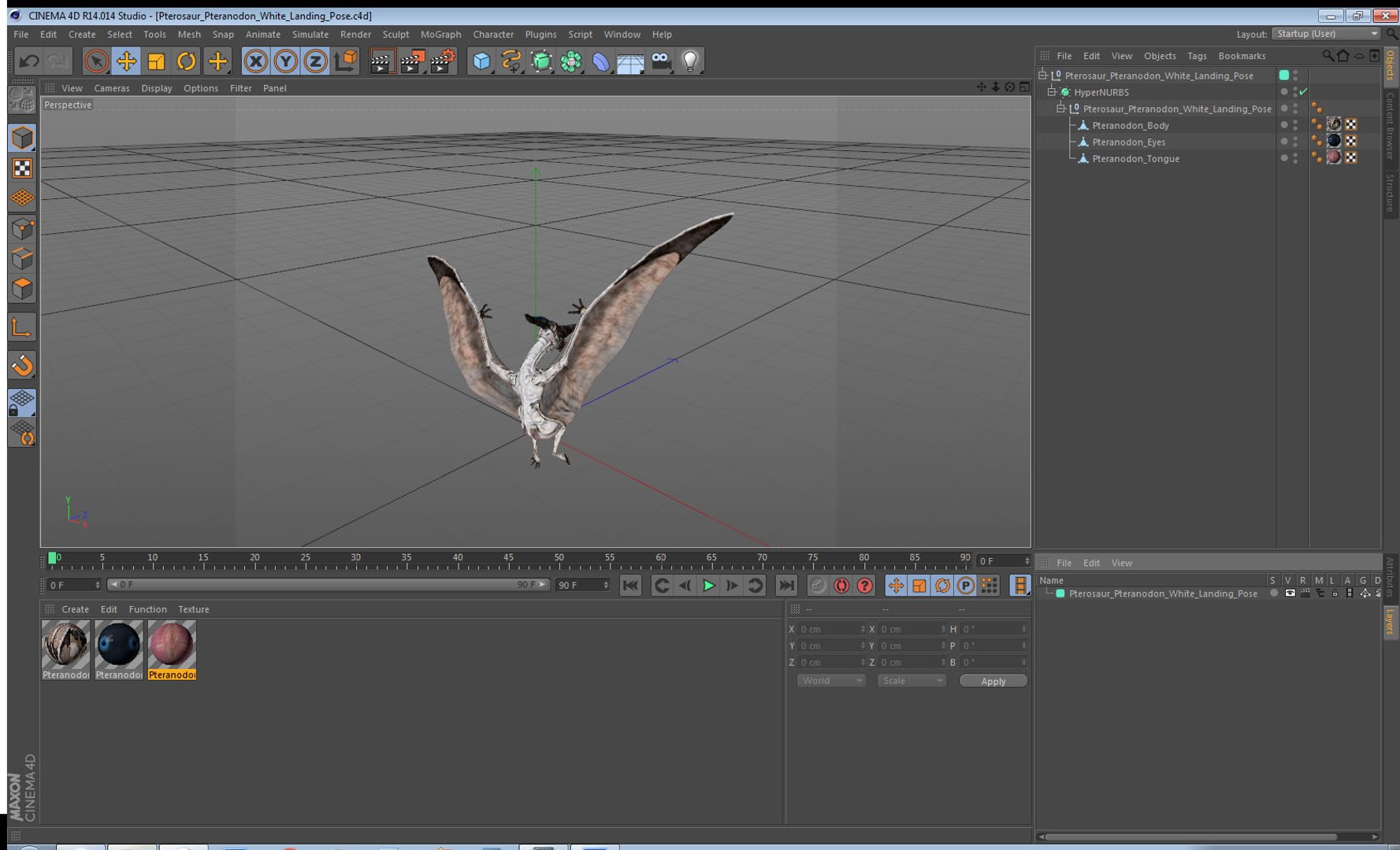 pterosaur pteranodon white landing 3D model https://p.turbosquid.com/ts-thumb/n7/j5t7vd/7A5gPVE1/pterosaurpteranodonwhitelandingposemb3dmodel014/jpg/1552615119/1920x1080/fit_q87/a11bbf3e72664dfb64eb0d94277d56e4e9792cf5/pterosaurpteranodonwhitelandingposemb3dmodel014.jpg