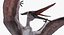 Pterosaur Pteranodon White Landing Pose