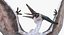 Pterosaur Pteranodon White Landing Pose