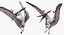 Pterosaur Pteranodon White Landing Pose