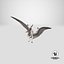 Pterosaur Pteranodon White Landing Pose
