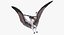 Pterosaur Pteranodon White Landing Pose