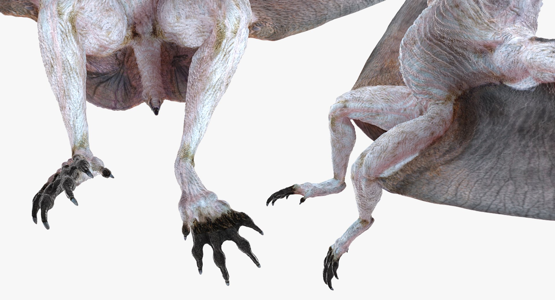 pterosaur pteranodon white landing 3D model https://p.turbosquid.com/ts-thumb/n7/j5t7vd/iDGrsobk/pterosaurpteranodonwhitelandingposemb3dmodel008/jpg/1552615098/1920x1080/fit_q87/f556bce7a27a93008023ac448a2d5968731e2549/pterosaurpteranodonwhitelandingposemb3dmodel008.jpg