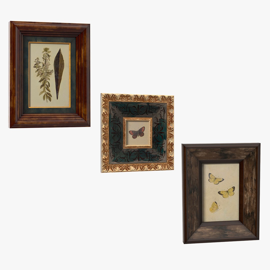 Picture Frames Collection 3 3D model preview