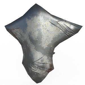Worn Iron Shield