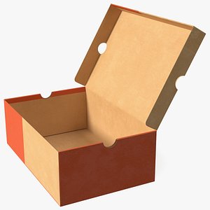 Carton Shoe Box Open