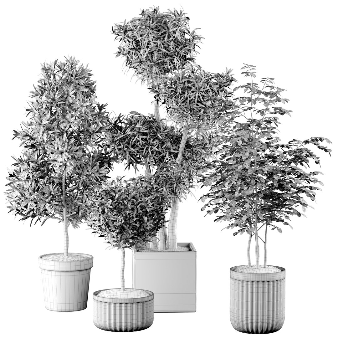 3D Set Indoor trees in flower pots model https://p.turbosquid.com/ts-thumb/n7/owmVAI/XI/rendergrid/jpg/1649568993/1920x1080/fit_q87/f7b6da57275368faa3ab896d844d8568363f9a55/rendergrid.jpg
