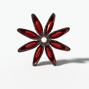 3D star spice powder anis model