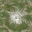 火山收藏