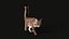 Przypon Cat Grey Tabby RIG - wersja YETI