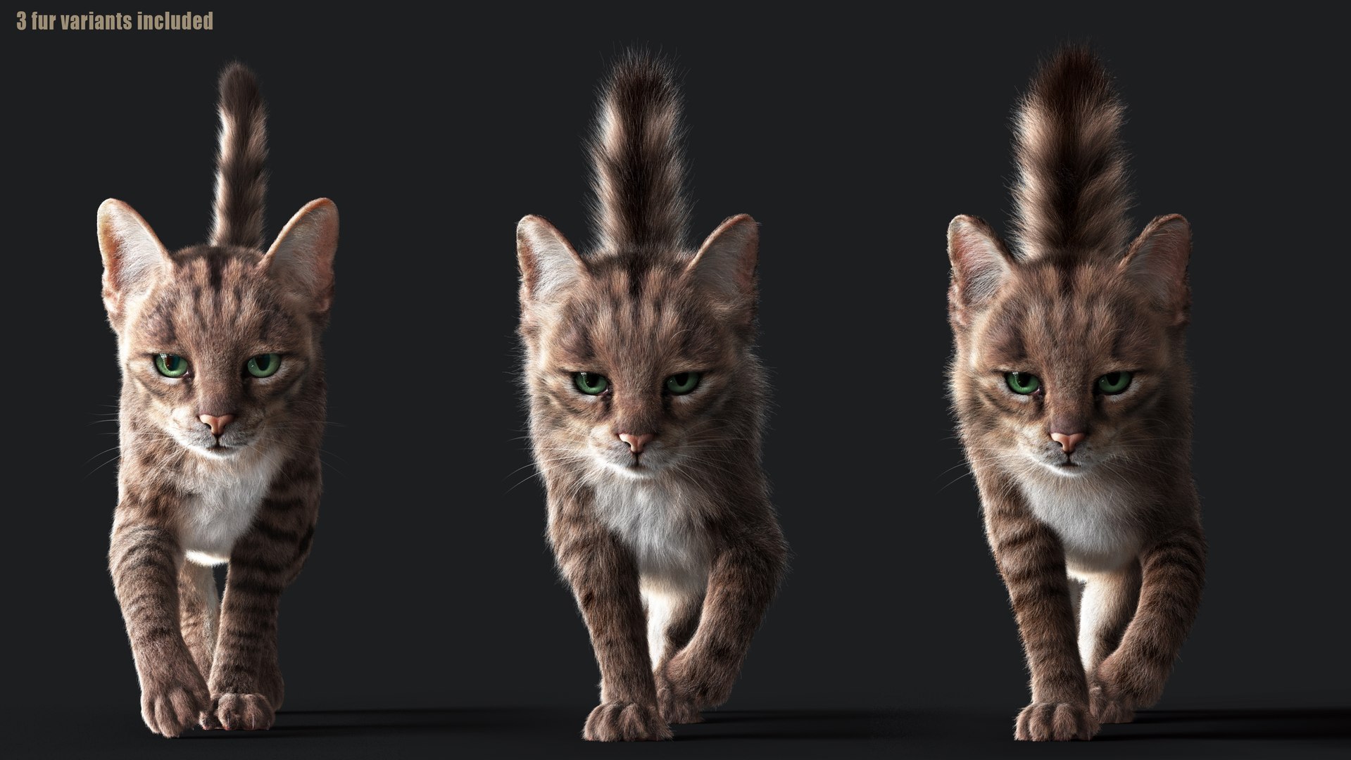 3D Cat Grey Tabby RIG - YETI version https://p.turbosquid.com/ts-thumb/n8/QJosua/GY/z03c/jpg/1693360851/1920x1080/fit_q87/7398d919bedc9eedbff179d5a05ec7066c492257/z03c.jpg
