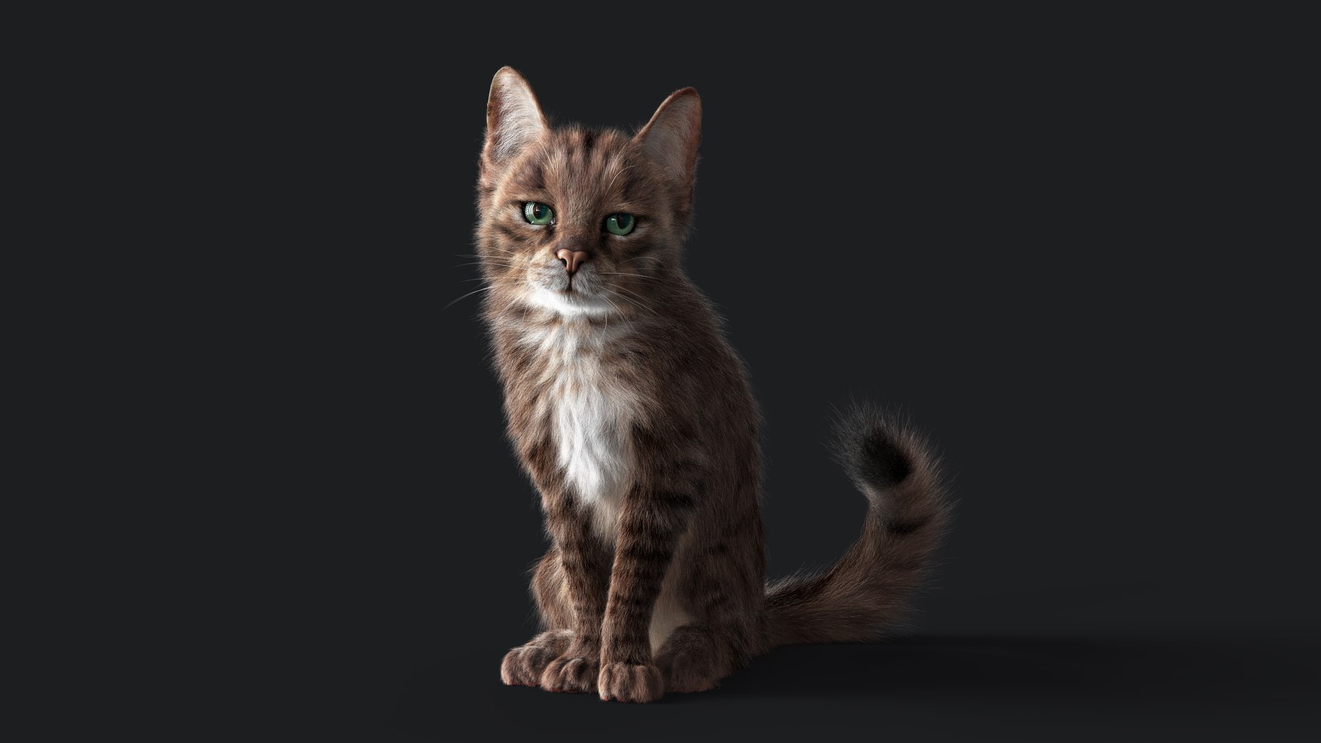 3D Cat Grey Tabby RIG - YETI version https://p.turbosquid.com/ts-thumb/n8/QJosua/JC/sit01/jpg/1692584828/1920x1080/fit_q87/856a33490646c39faea95eb82933660816be1d50/sit01.jpg
