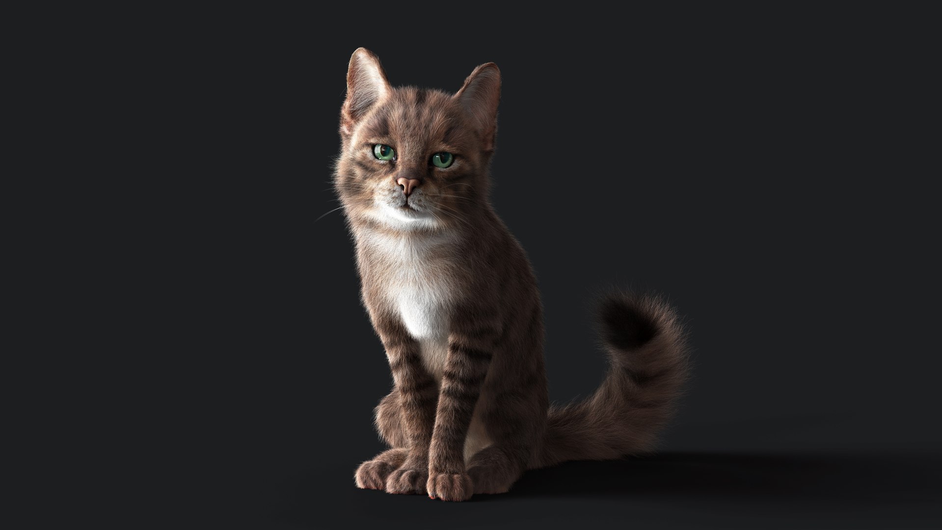 3D Cat Grey Tabby RIG - YETI version https://p.turbosquid.com/ts-thumb/n8/QJosua/My/z01c/jpg/1693287647/1920x1080/fit_q87/e4dc786f4d4a091aa09a8cd55cc21846b3d387e5/z01c.jpg