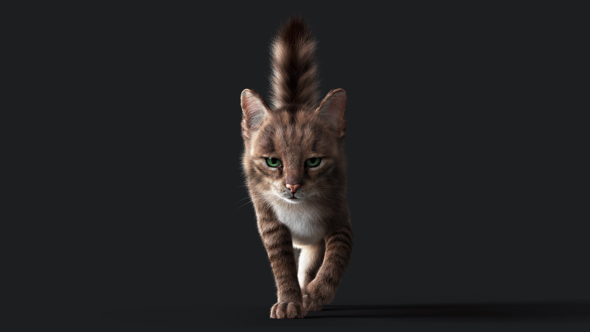 3D Cat Grey Tabby RIG - YETI version https://p.turbosquid.com/ts-thumb/n8/QJosua/OH/longb_01/jpg/1693360857/1920x1080/fit_q87/82c6ec1edd549fc25f92e6992fa6018dc981e33b/longb_01.jpg