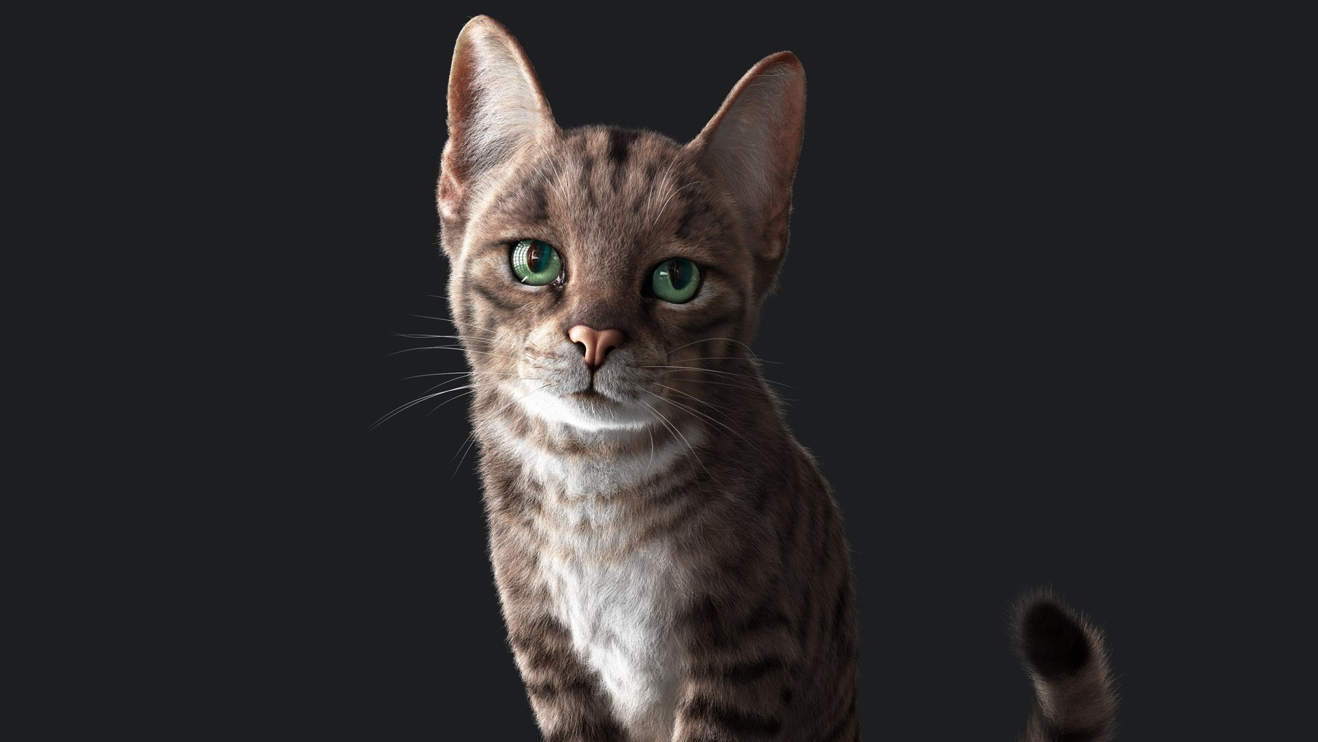3D Cat Grey Tabby RIG - YETI version https://p.turbosquid.com/ts-thumb/n8/QJosua/ZD/z06/jpg/1692352314/1920x1080/fit_q87/2741962096683f7f67e3e3941955c1e02af2348c/z06.jpg