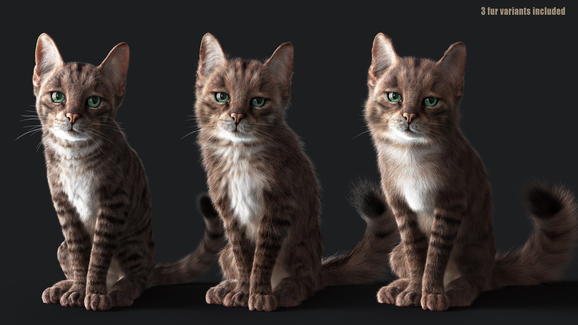 3D Cat Grey Tabby RIG - YETI version https://p.turbosquid.com/ts-thumb/n8/QJosua/kb/z02c/jpg/1693287626/1920x1080/fit_q87/980c3a2ec09ecc0bcc7ee15cc78691a9e1e7ee58/z02c.jpg